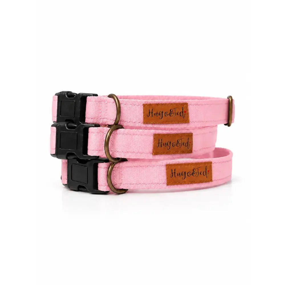 Waterproof Dog Collars
