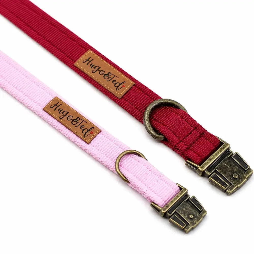 Waterproof Dog Collars
