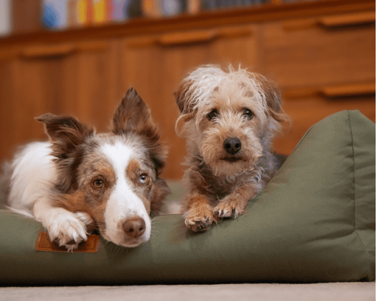 THE HENLEY | LUXURY WATERPROOF BED