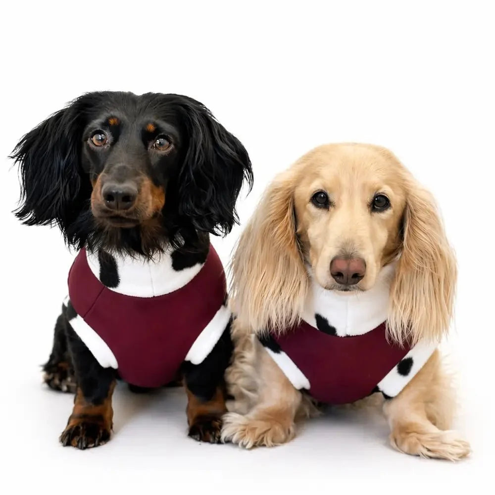 Waterproof Rainfleece Dog Coat - Standard Sizes
