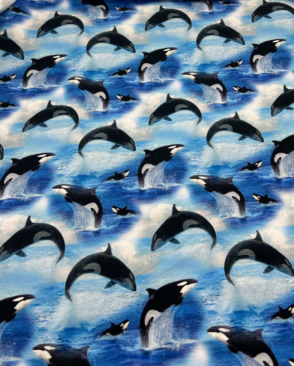 Whales French Terry Loopback Cotton Jersey Lycra 4 Way Stretch