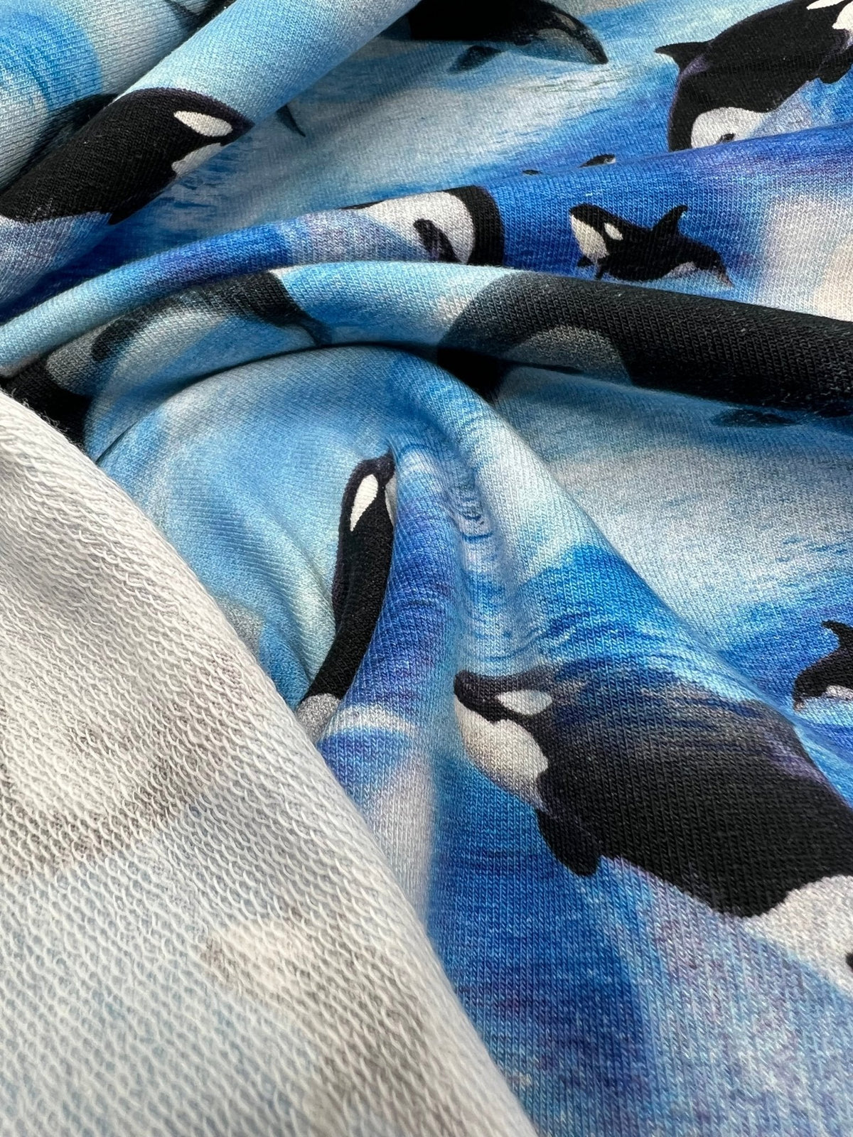 Whales French Terry Loopback Cotton Jersey Lycra 4 Way Stretch