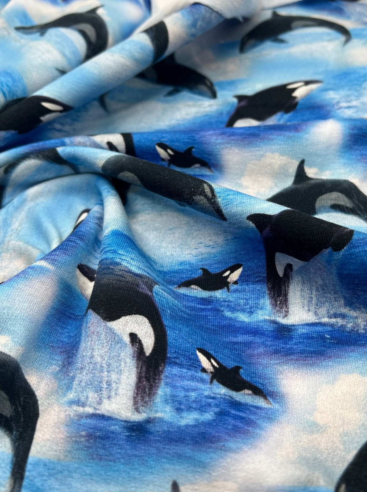 Whales French Terry Loopback Cotton Jersey Lycra 4 Way Stretch