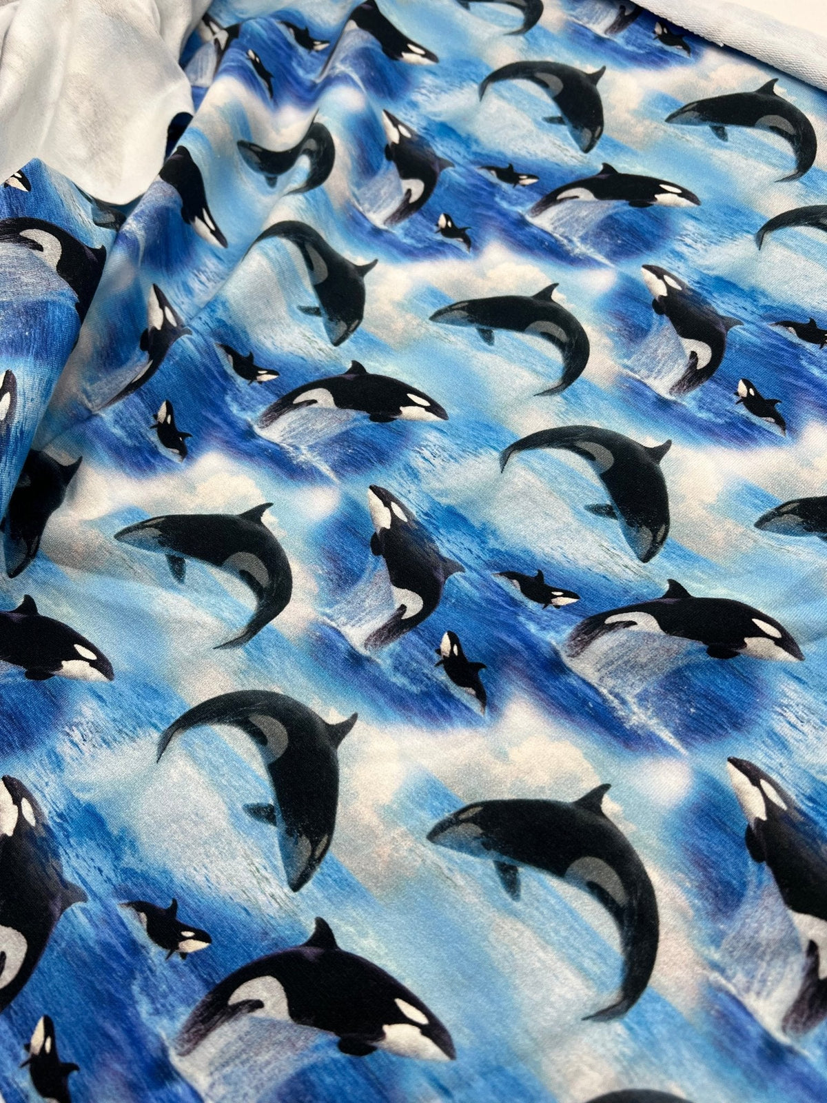 Whales French Terry Loopback Cotton Jersey Lycra 4 Way Stretch