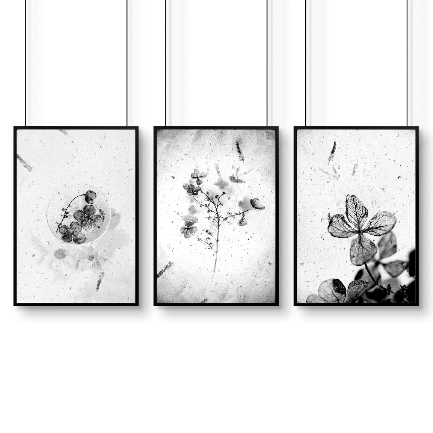Wall arts black and white | set of 3 framed wall art prints