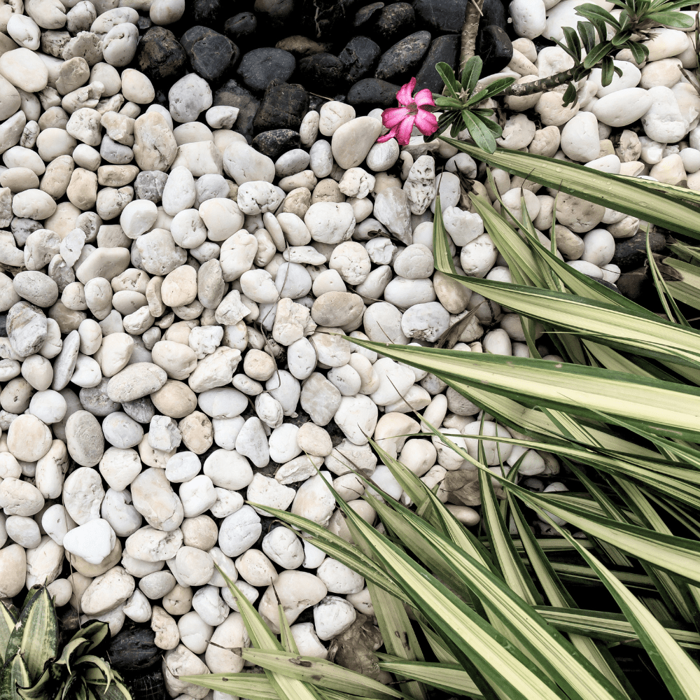 White pebbles 20 to 40mm Bulk Bag