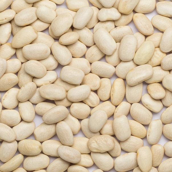 Organic Haricot Beans