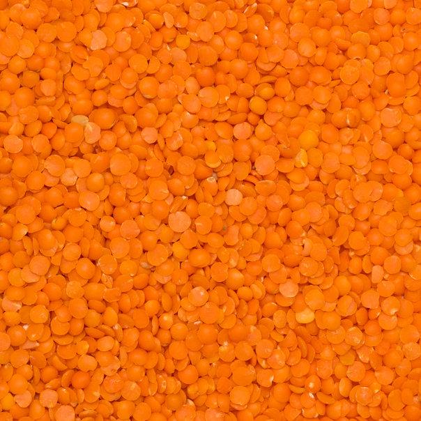Red Split Lentils