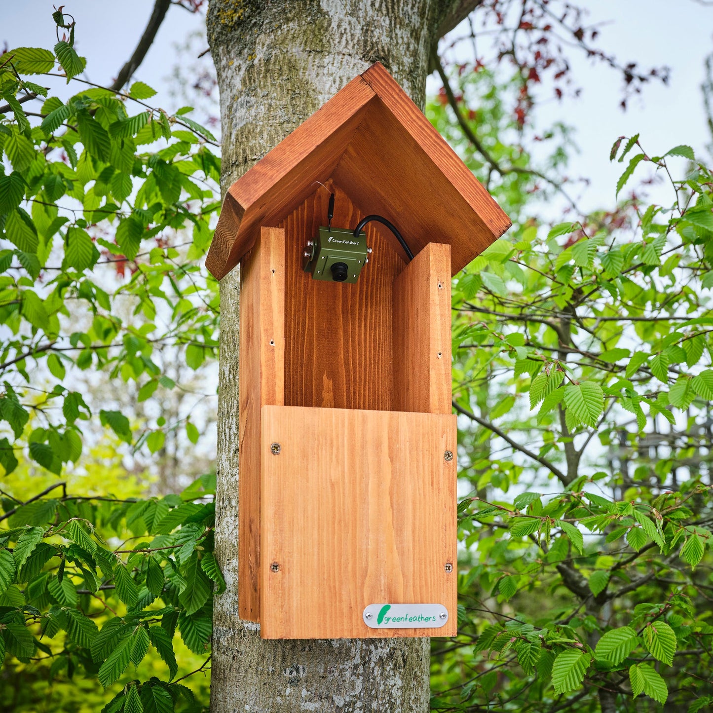 WiFi HD Camera for Bird Box & Wildlife Habitats