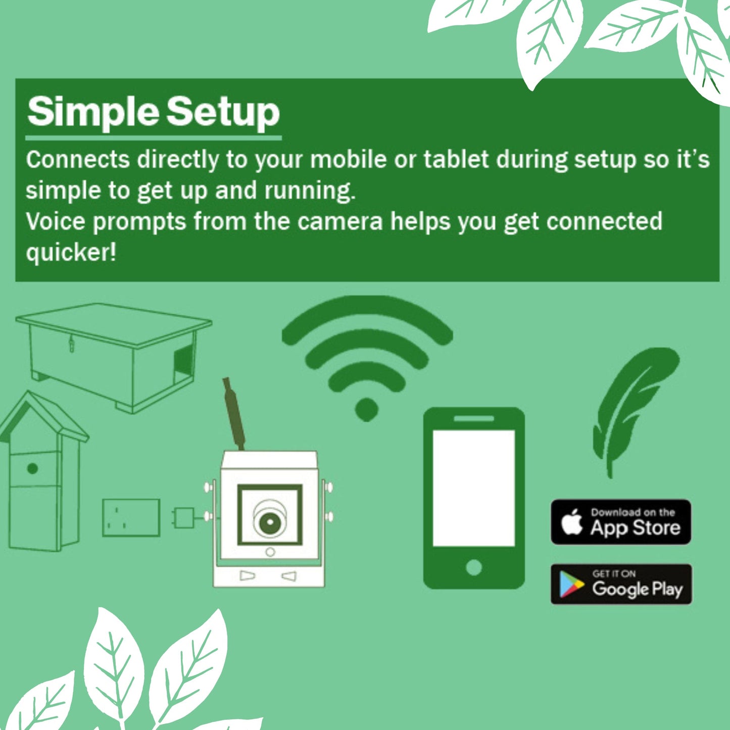 WiFi HD Camera for Bird Box & Wildlife Habitats