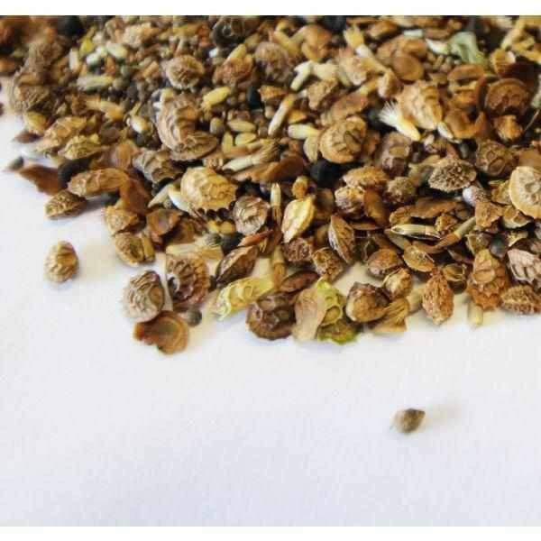 Wild Flower Seed  - 100% Wild Flower
