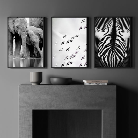 Wildlife Art Prints Black & White Safari — Elephants, Birds & Zebra | Set of 3