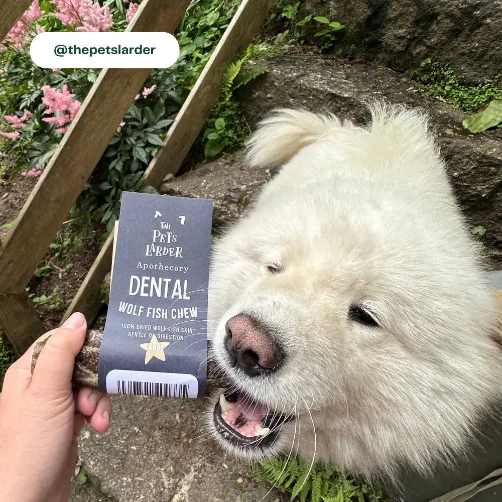 Wolf Fish Stick Chew Large Chew For Dogs