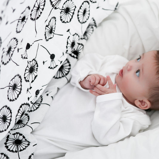 XL DANDELION MUSLIN - birth to 4 months