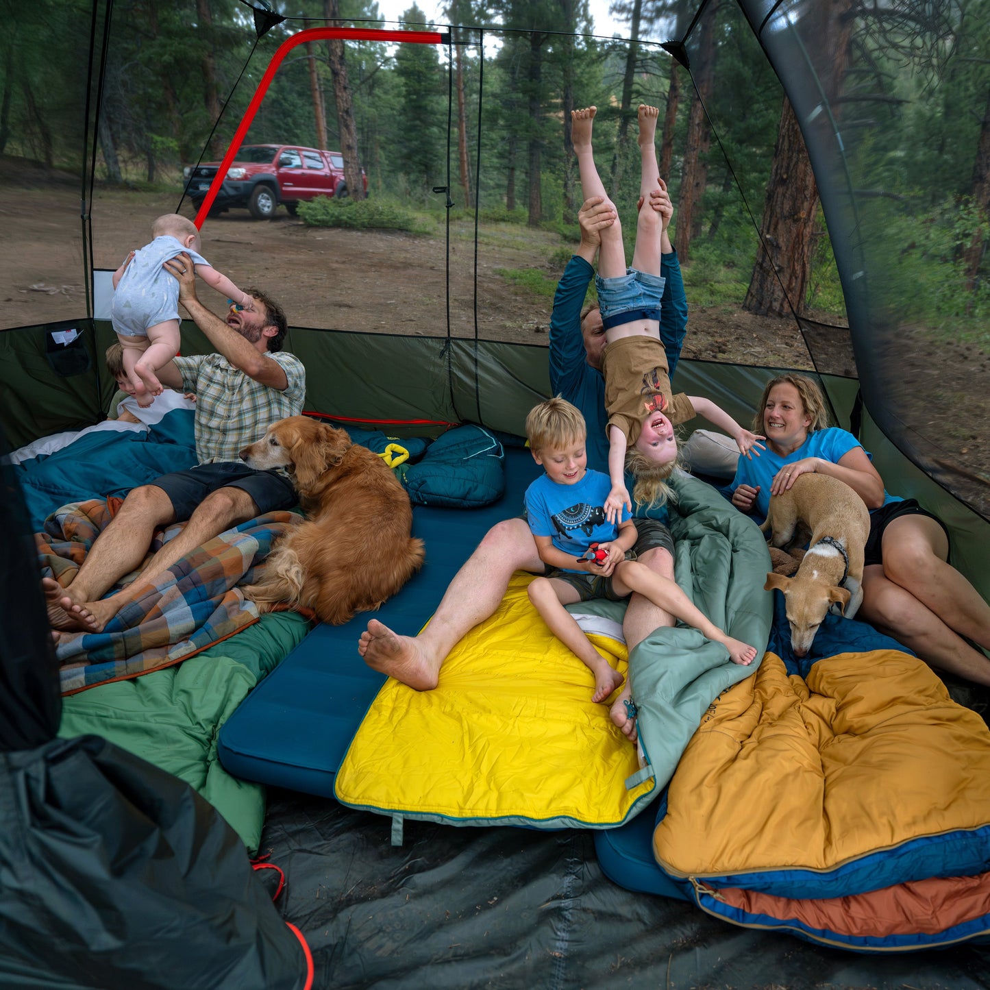KELTY WIRELESS 8P TENT