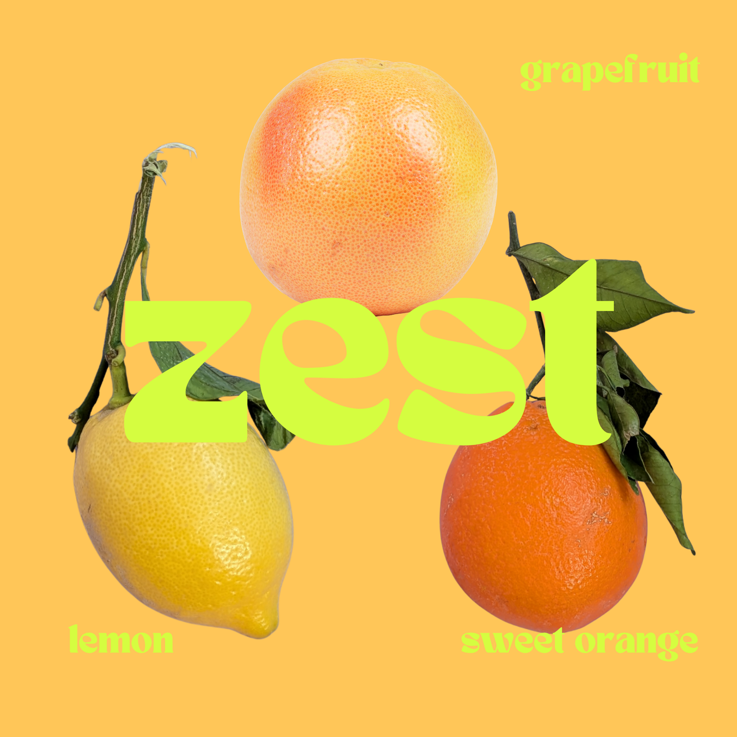 ZEST Loo Drops: Toilet Deodoriser