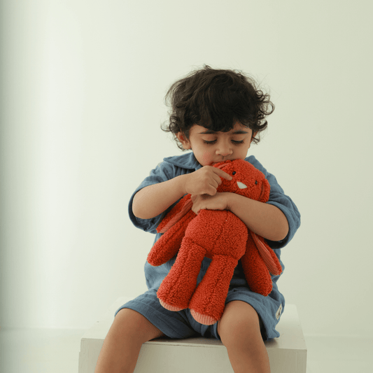 Kubo - The Cuddly Bunny Toy